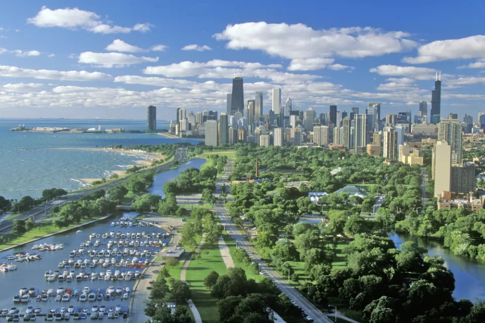 Chicago Lake Michigan Trees
